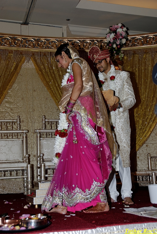 PAYAL_WEDDING-tr Image_1158.jpg